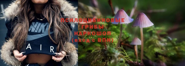 таблы Надым