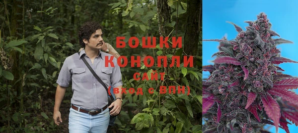 амф Нея