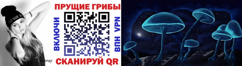 цены   Донской  Псилоцибиновые грибы мухоморы 