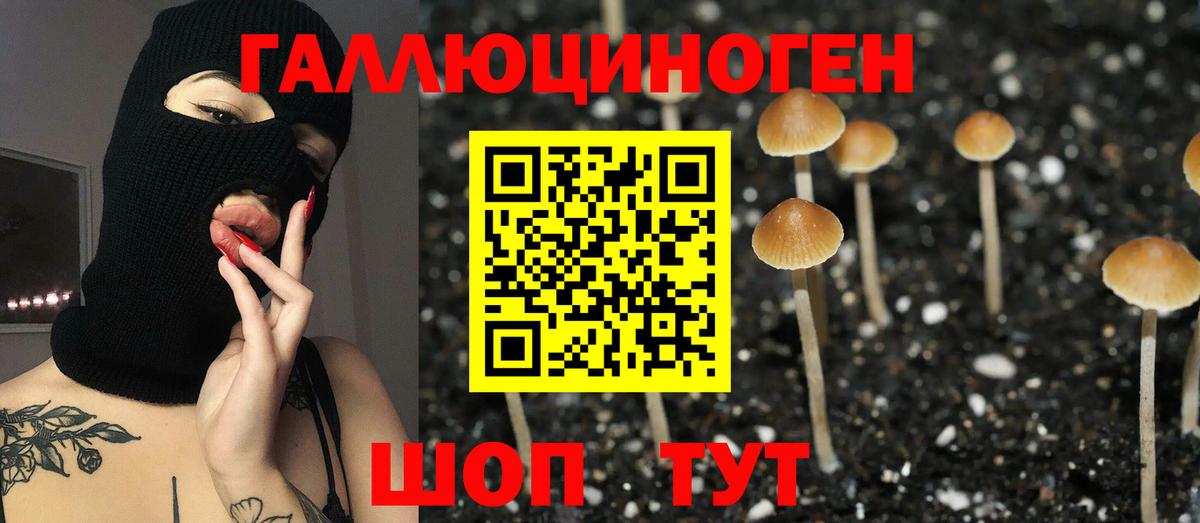 Донской  Галлюциногенные грибы Psilocybe  где найти наркотики  Вход с VPN 